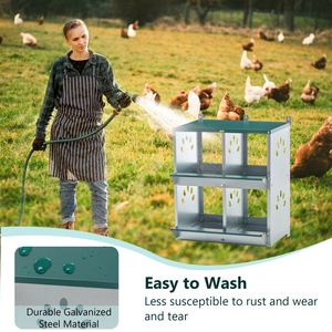 Cajas de Metal con 4 Compartimentos para Gallinas, Jaula de Pared para la Producción de Huevos, para Diferentes Razas - Product Image 6