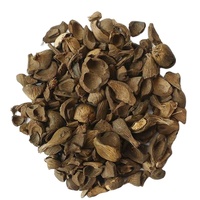 Charbon Actif de Coque de Noix de Coco Super Sec à Bas Prix pour l'Industrie du Biocarburant en Coque de Palmiste d'Indonésie, 4000J Calorie, 0,75% Cendres