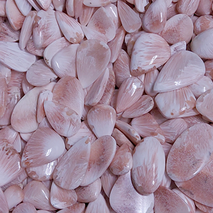 Cabujones de Scolocita Rosa Pulidos, Piedras Preciosas Naturales, Cristales Curativos para Diseño de Joyería y Artesanía Espiritual - Product Image 1