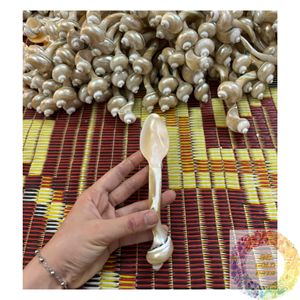 Cuchara de Concha Marina Hecha a Mano en Vietnam, Vajilla de Conchas Premium para el Hogar, Cocina, Restaurante y Distribución al por Mayor - Product Image 6