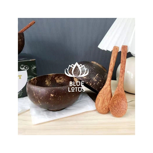 Bol en Coque de Noix de Coco de Qualité Supérieure, Vaisselle Écologique pour Servir des Salades et Présenter des Desserts, Matériel Sûr pour les Acheteurs Internationaux - Product Image 1