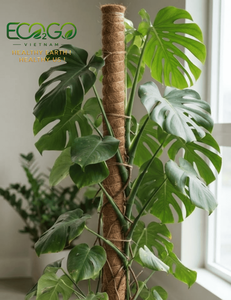 Bendable Moss Pole <b>for</b> Climbing <b>Plants</b> Flexible Coconut Fiber <b>Plant</b> Support Stake Bendy Coco Pole <b>for</b> Monstera Custom Size - Product Image 3