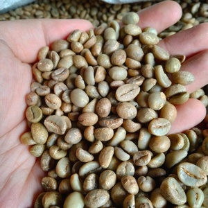Vietnam Robusta Green Coffee Beans Bulk Export Quality Premium Coffee Supplier Worldwide - Product Image 1