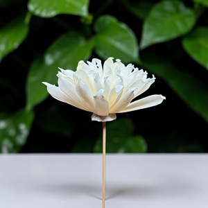 Fleurs artisanales durables en bois de Sola blanc (Spider Mum), taille : 8,5 cm, tige en fibre de plantes de Sésbania de Thaïlande - Product Image 4