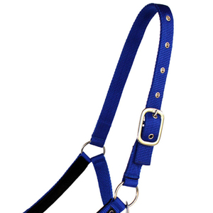 Nuevo Cabestro para Caballo Personalizado, Transpirable, Duradero, de Alta Calidad, Estilo Western, de Cuero/Nailon, Moderno y Cómodo - Product Image 4