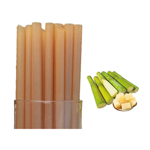 Pailles en bagasse de canne à sucre très demandées pour les hôtels, les restaurants et les chaînes de boissons - Product Image 4