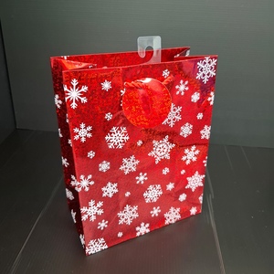 Bolsa de regalo holográfica impresa grande ligera de primera calidad - Product Image 4