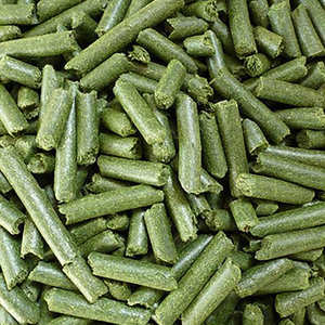 Pellets de Alfalfa de Primera Calidad para Nutrición Ganadera y Granjas Lecheras con Alto Contenido de Proteínas para Suministro a Granel - Product Image 2