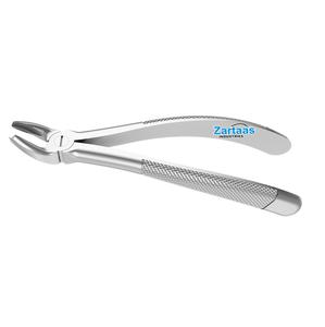 Pinzas de Extracción de Acero Inoxidable de Alta Calidad, Patrón Inglés, Mandíbula Superior, Figura 17, para Molares, Derecha, Ancha - Product Image 5