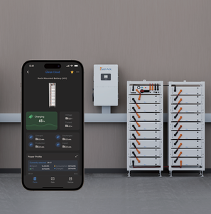 Hàng tồn kho số lượng lớn cho ESS BOS-A PDU-2 CAN2.0, bảo hành 10 năm, lắp đặt trên rack, IP20, LiFePO4, chính hãng, nguyên bản, hàng EU. - Product Image 5