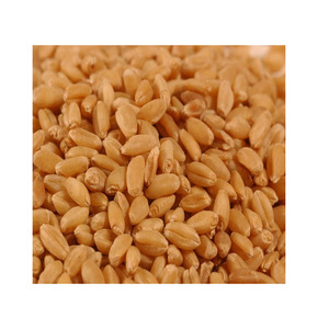 Listo para Enviar: Granos de Trigo Blando de Calidad Premium al por Mayor, Grado Alimenticio, Suministro a Granel, Servicio OEM de Alta Calidad para Compradores B2B - Product Image 3