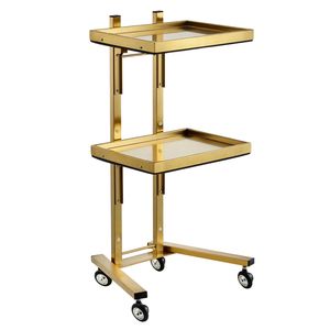 Carrello Moderno a 2 Ripiani Dorato per Salone di Bellezza o Bagno, in Acciaio Inossidabile con Doppio Vassoio Portaoggetti, Elegante Arredo per Salone - Product Image 1