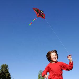 2023 nouveau <span class=keywords><strong>cerf</strong></span>-<span class=keywords><strong>volant</strong></span> animal <span class=keywords><strong>volant</strong></span> extérieur de haute qualité <span class=keywords><strong>cerf</strong></span>-<span class=keywords><strong>volant</strong></span> de chauve-souris réutilisable - Product Image 5