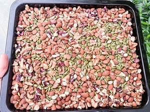 Mejor Precio en Barritas de Granola con Frutos Secos Mixtos, Mezcla Crujiente de Frutas y Nueces al por Mayor - Sra. Tarina - Product Image 2