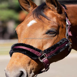 Venta al por mayor de cabestros para montar a caballo, cómodas correas de nailon, caballo Halter con relleno de piel polar, carreras de caballos equinos de calidad superior - Product Image 6