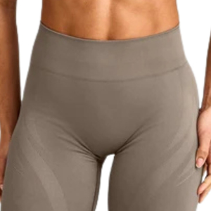 <b>Women</b> Seamless Athletic <b>Leggings</b> High Stretch Comfortable Workout Tights for Gym Yoga Running Training Fitness with Gray Logo - Product Image 4
