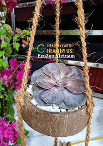 Eco Friendly Coconut <b>Pot</b>/Coconut Plant <b>Pot</b>/ Coconut Shell Hanging Plants Good Price by Eco2go Vietnam - Product Image 6
