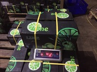 2023 Jeruk Nipis Vietnam Tanpa Biji Hijau Segar Buah Citrus Segar Kelas AA Asli Asam Alami 5-8kg Karton Siap Kirim
