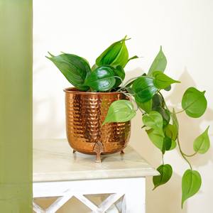 Grand pot à plantes en métal, pot à fleurs en fer pour jardin, patio, balcon, plantes d'intérieur, décoration de la maison - Product Image 4