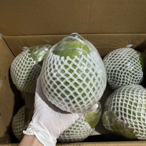 Coco Verde Fresco de Primera Calidad para Exportación con Agua de Coco Dulce - Product Image 4