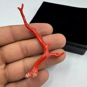 ลูกปัดปะการังแดงอิตาลีธรรมชาติ รูปทรงกิ่งไม้ สำหรับทำเครื่องประดับ ปะการังรูปทรงต้นไม้ คุณภาพสูง - Product Image 1