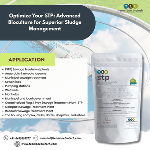 Solution de probiotiques de digestion organique durable pour les stations d'épuration optimale pour la gestion des bactéries des boues - Product Image 5