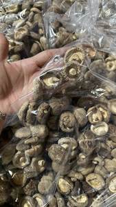 Exportador a Granel de los Mejores Hongos Secos de Vietnam, Naturales y Nutritivos - Product Image 3