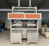 Fruitverpakkingsmachine van papierpulp voor appel- en mangoverpakkingen