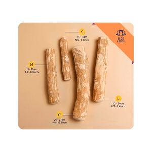 [สินค้าขายดี] ไม้บดเคี้ยวสำหรับสุนัข บลูโลตัส ผลิตจากไม้กาแฟ เป็นมิตรต่อสิ่งแวดล้อม ขนาด L ผลิตที่ดักลัก สำหรับการเคี้ยวและเล่น - Product Image 1
