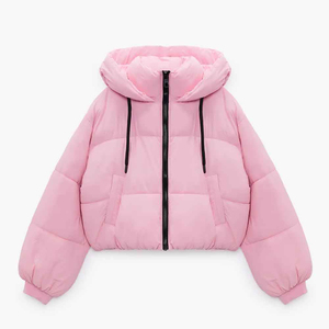 Veste matelassée à capuche pour femme, style décontracté d'hiver, fermeture éclair, haute qualité, tendance, veste matelassée pour femme - Product Image 1