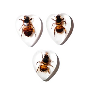 Cabujón de Plástico con Especímen Real de Abeja, Forma de Corazón, 17x21 mm, Base Plana Blanca, para Manualidades y Joyería - Product Image 6