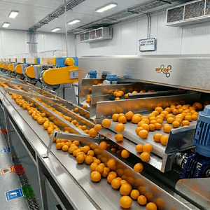 Concentrado de Jugo de Mandarina Kinnow Congelado, 100% Natural, Extracto de Cítricos Puro, Recién Exprimido, 60 Brix |   Suministro al por Mayor de Alta Calidad 1 - Product Image 4