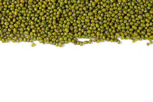 Haricots Mungo Verts Indiens Récolte 2026 Qualité Supérieure Légumineuses Entières Naturelles FitTree International du Gujarat Durée de Conservation 24 Mois - Product Image 2