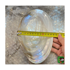 Vase mural contemporain ovale en céramique à motif floral plaqué or et plat à caviar polyvalent avec bordure argentée, plat en nacre - Product Image 5