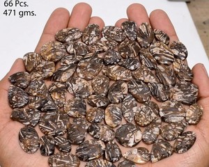 Lote de Cabujones Naturales en Barra, Gemas Sueltas Pulimentadas de Varias Formas, Piedras Semipreciosas para Joyería, Venta al Por Mayor - Product Image 4