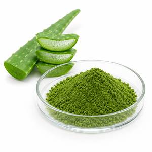 Proveedor de Extracto de Hoja de Aloe Vera en Polvo de Alta Pureza, Extracto Herbal para Nutracéuticos y Cuidado Personal, Fabricante OEM - Product Image 4
