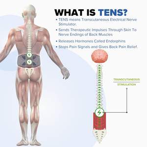Unit TENS Rechargeable Companio CW-600 dengan Kontrol Waktu untuk Pijat Pulsa Punggung, Pengelolaan Nyeri untuk Pria dan Wanita - Product Image 6