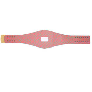 Réplica del Cinturón de Campeonato de los Miami Dolphins - Product Image 4