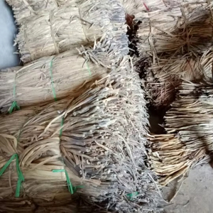 Fabricant vietnamien de jacinthe d'eau : Fibres naturelles pour la production de paniers, de tapis et de meubles 15 ANGLE - Product Image 1