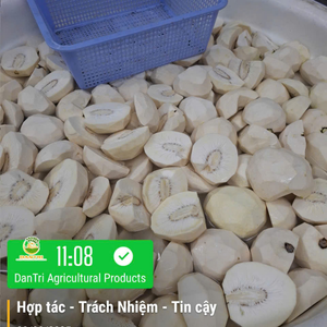 Morceaux de fruit du pain (sago) surgelés naturels du Vietnam, 500g, sac PE, pour friture croustillante et repas savoureux, de 99 Gold Data - Product Image 1