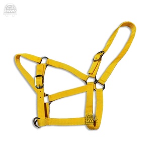 Wholesale Nylon English Saddle <b>Halter</b> for Horse Riding Custom Color Horse Accessories with SS Fittings Cheap and High Quality - Product Image 2