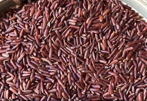 [Precio Directo de Fábrica] Arroz Rojo Vietnamita de Grano Largo y Suave de Primera Calidad |   Arroz a Granel con Certificación HACCP |   Celeste VILACONIC - Product Image 4