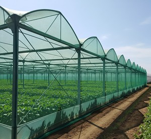 Large <b>Green</b> Shade <b>Net</b> House Agricultural Tunnel Greenhouse Mesh Cover for Vegetable Flower Farm Growing Fortune Agro <b>Net</b> - Product Image 5