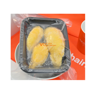 Pulpa de Durian Congelada IQF con Semillas en Ri6 Monthong |   Fruta Tropical Cremosa y Rica para Helados y Repostería - Product Image 1