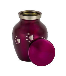 Urnas de Cremación para Mascotas de Acero Inoxidable de Alta Calidad, Modernas, de Lujo y Ecológicas para Guardar Cenizas de Perros, Venta al Por Mayor - Product Image 1