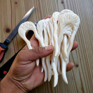 งานฝีมือแกะสลักด้วยมือจากกระดูกควายขาวแท้  งานฝีมือจากกระดูกควายธรรมชาติที่สวยงาม ราคาถูก - Product Image 2