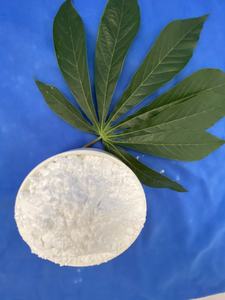 Best Grade Premium Quality Tapioca <b>Starch</b> - Product Image 4