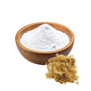 High Quality Eucheuma Cottonii/ Sea Moss Extract Powder with Low Price/ Ms. Lima - Product Image 6