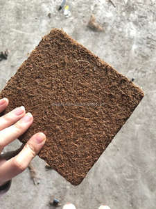 Blocs de tourbe de coco de substrat de coco 5kg comprimés pour les fermes commerciales approvisionnement en vrac du Vietnam exportation prête à expédier - Product Image 2