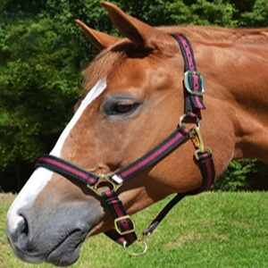 Nouvelle bride de cheval en nylon PP bicolore de haute qualité, style selle western, avec cordes de têtière et collier de tête assortis - Product Image 5
